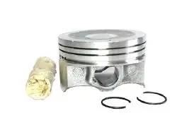 13101-0Y120 Toyota CALIPER(R)PADLESS FR