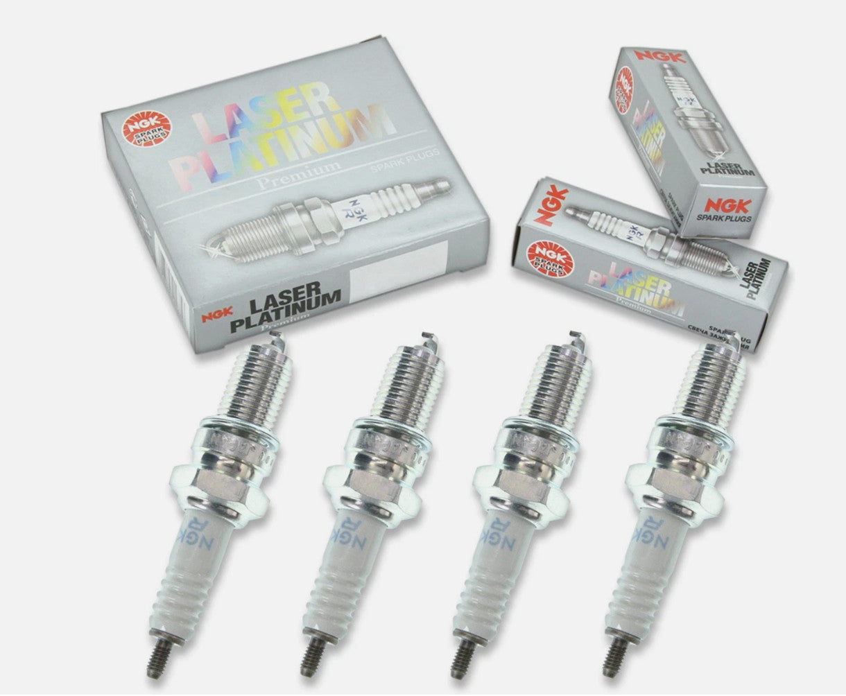4 pc NGK 2842 PJR7A Laser Platinum Spark Plugs for X22EPR-GL RA8PHP 7972 hp